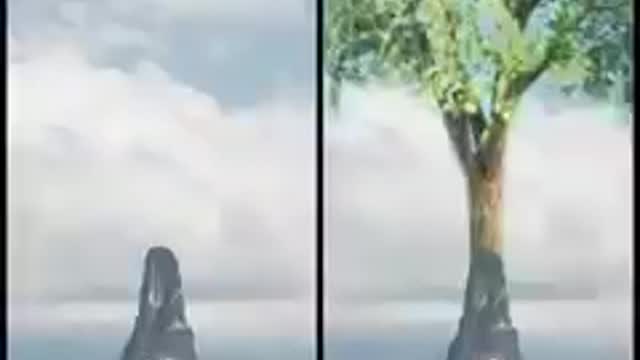 TREES FROM THE BEGINNING