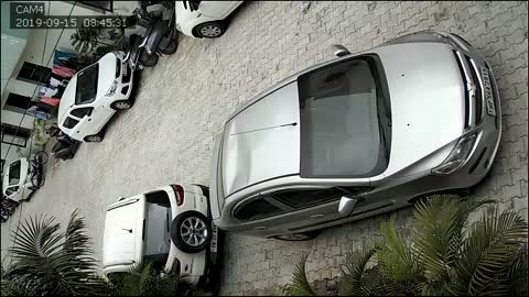 Monkey Uses Car as Trampoline