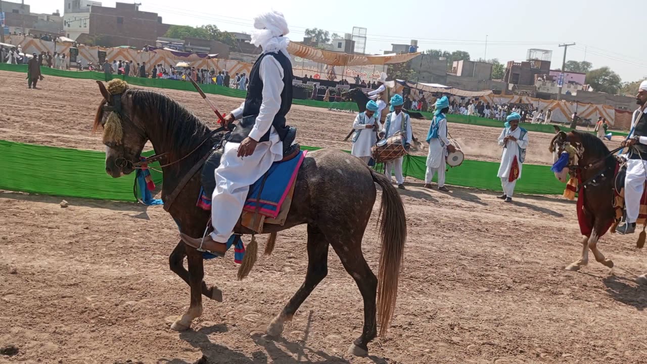 Mastering the Art of Tent Pegging: Precision, Speed, and Equestrian Excellence