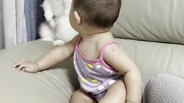 Funny dog and cute baby π₯πΌπ€£