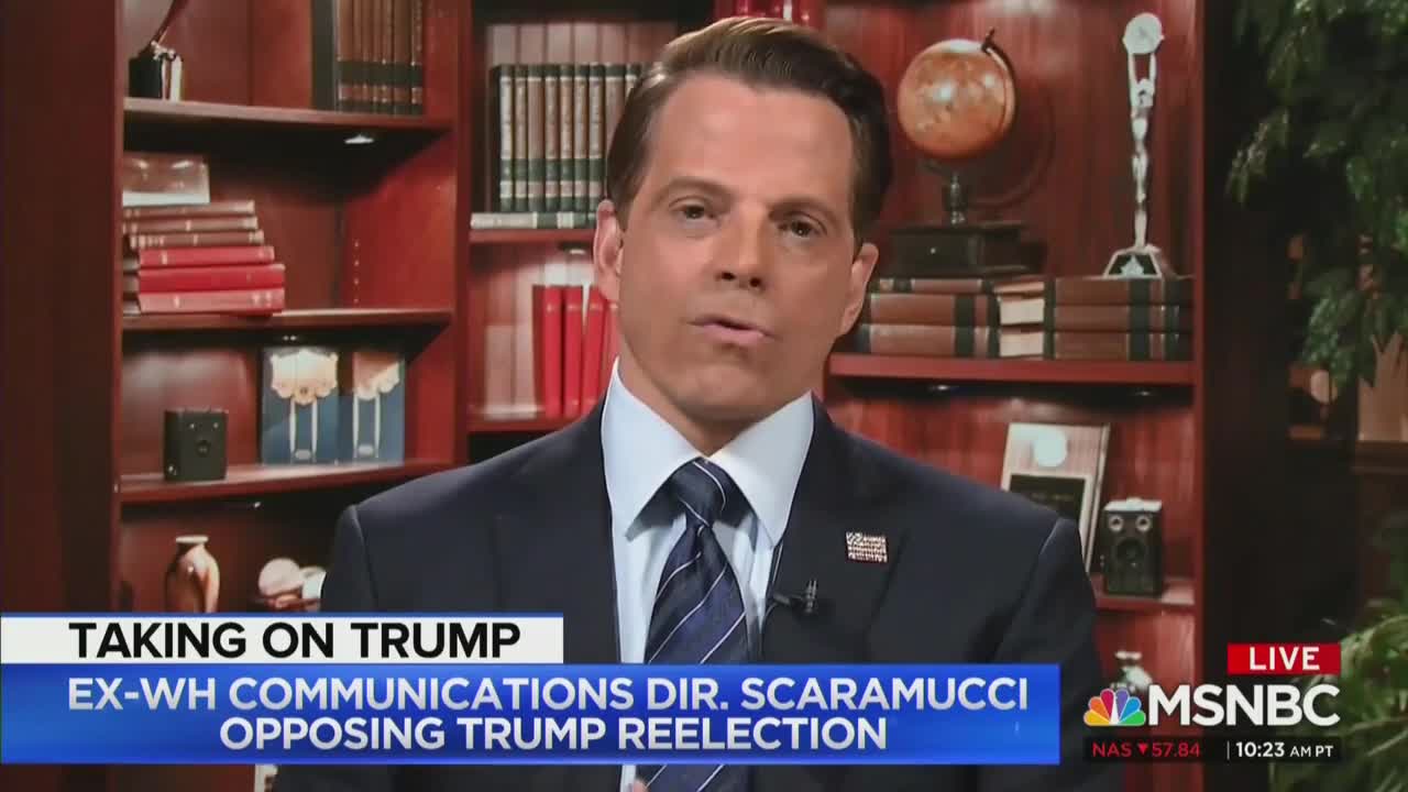 Scaramucci: I Just Wanted Trump To Cut Our Racists Tweets; His Response Was To "Cyberbully Me"