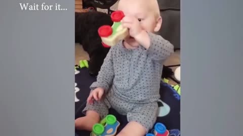 Dogs are the best friend of Babies 22