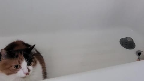 She loves the tub