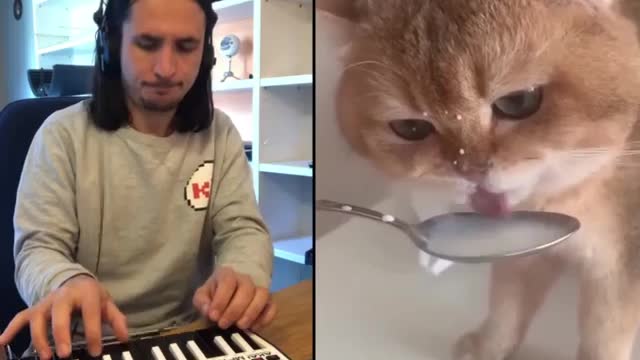 Cat makes an insane beat from drinking milk