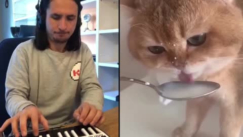 Cat makes an insane beat from drinking milk