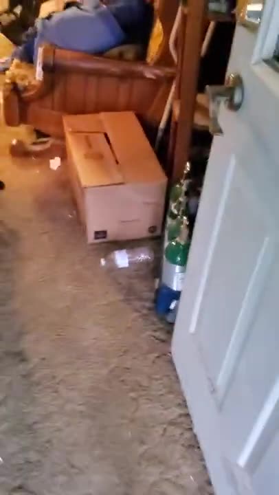 Andrew Ditch: Clean Your House (May 2021)