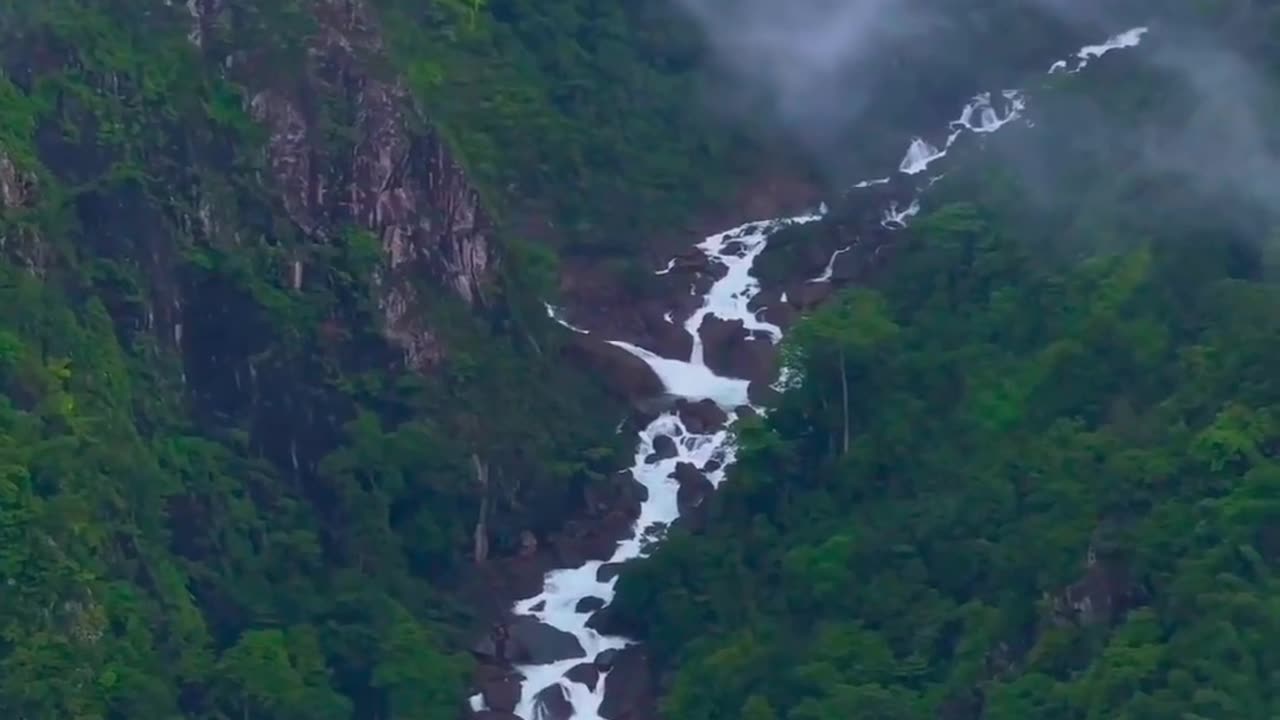 Experience Nature's Bounty: Nadukani Estate in Wayanad, Kerala 🌿🌄