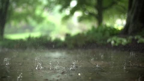 Raindrops in Super Slow Motion Real Nature