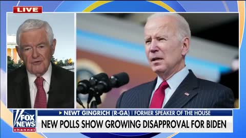 Newt Gingrich: It's the DC elites against the rest of the country