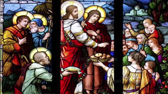 17th Sunday in Ordinary Time Homily Fr Michael Goodyear