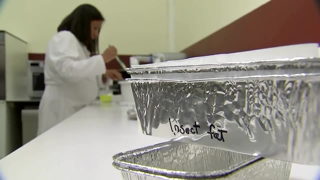 1534. INSECTFOOD🌐The New World Order🌐💀