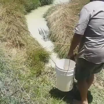 The reason you should avoid the water in Australia