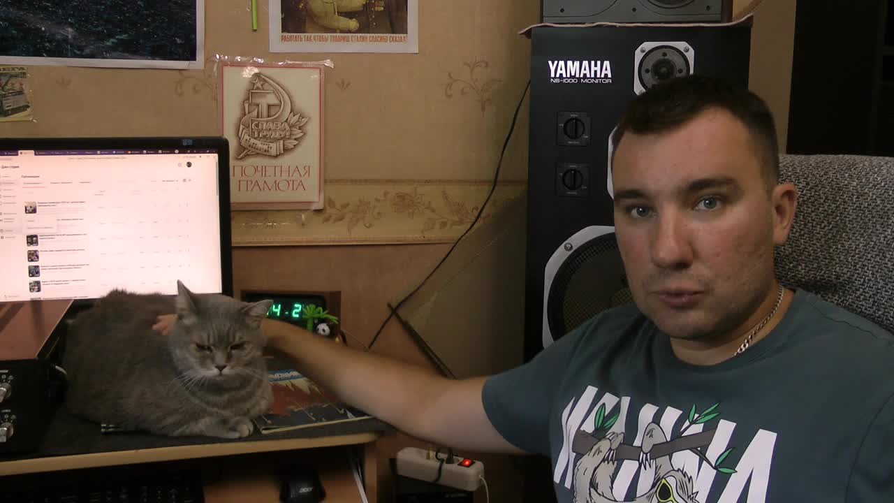 Хитрилы на японских аукционах, у кого лучше не покупать аппаратуру