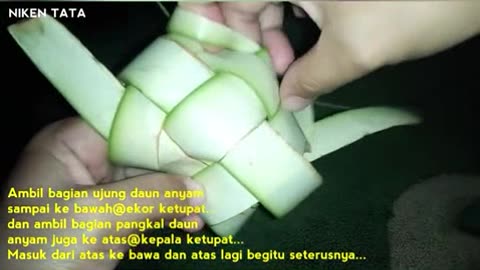 kok basti