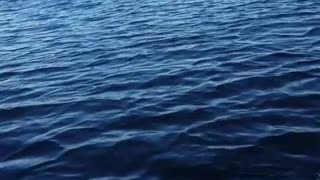 Floatplane Races Seadoo, see who Wins?