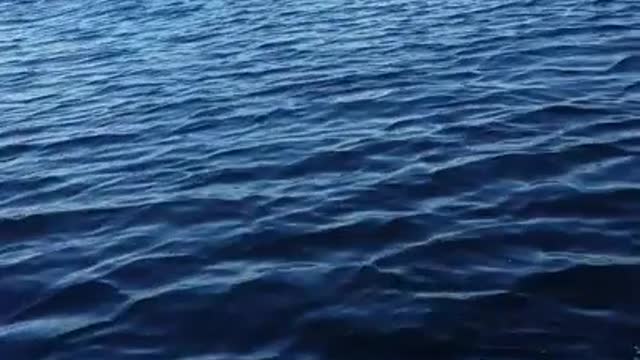 Floatplane Races Seadoo, see who Wins?