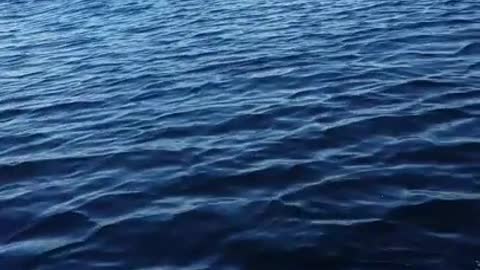 Floatplane Races Seadoo, see who Wins?