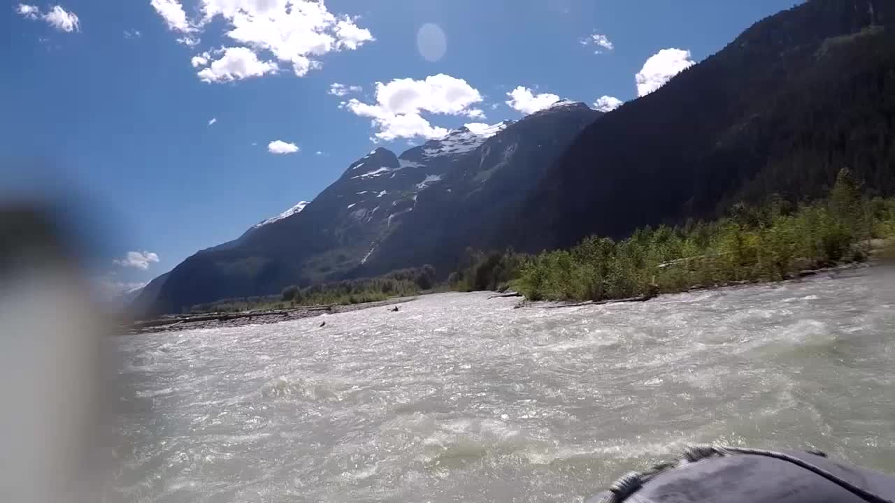 Grizzly Bear Charges Kayaker While Rafting Down A River