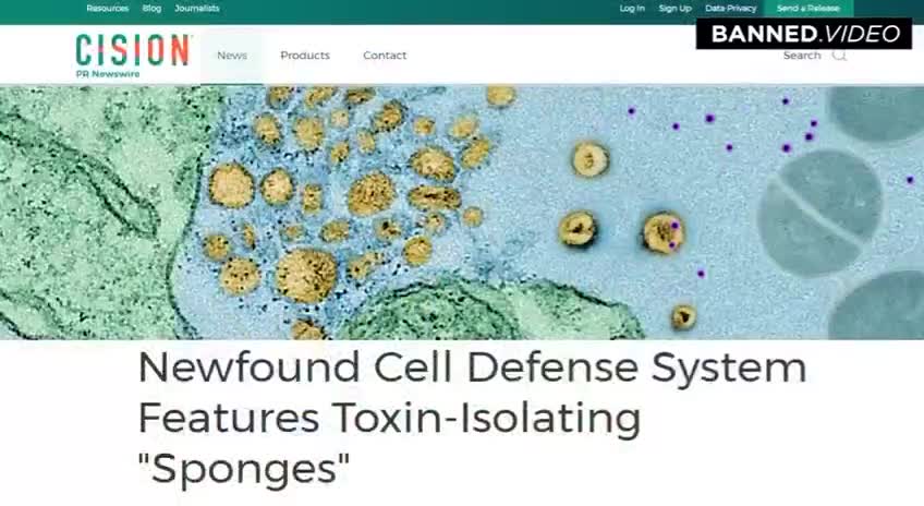 5G and what it does to your cells.