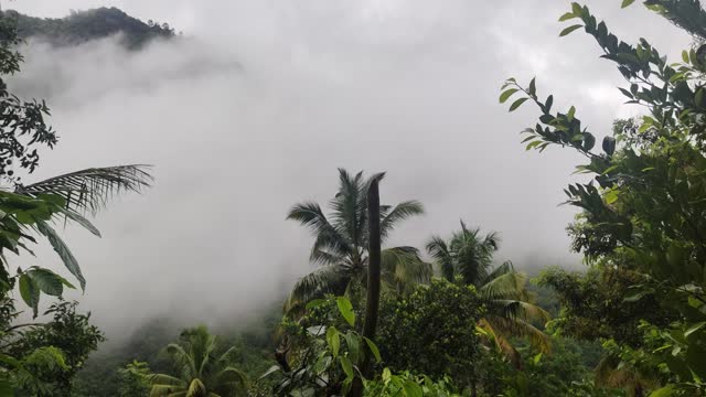 Wayanad Natursl beauty