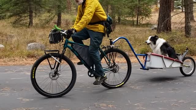 Carver 420L Rohloff/Gates drive and Ibex/Burley DIY trailer plus Belle Marie