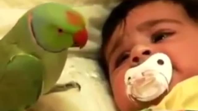 A baby and a parrot