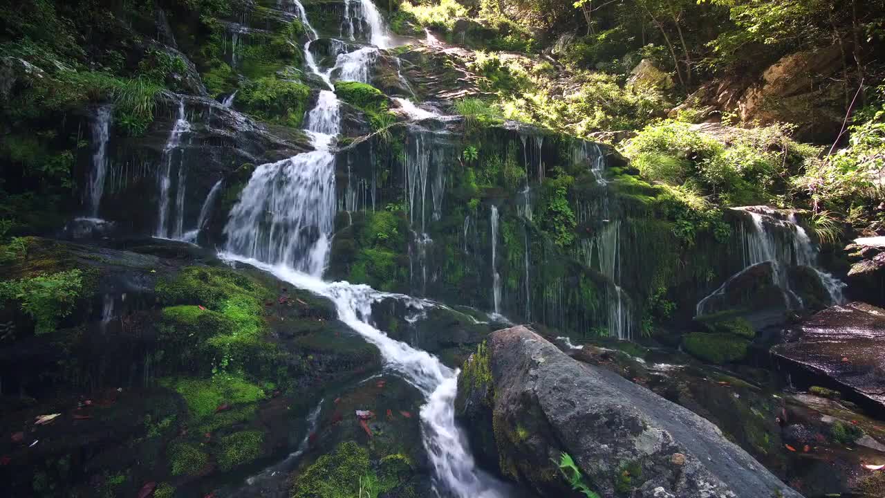 Brazilian Watterfalls