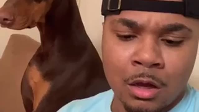 This dog is really intelligent 😂😂😂
