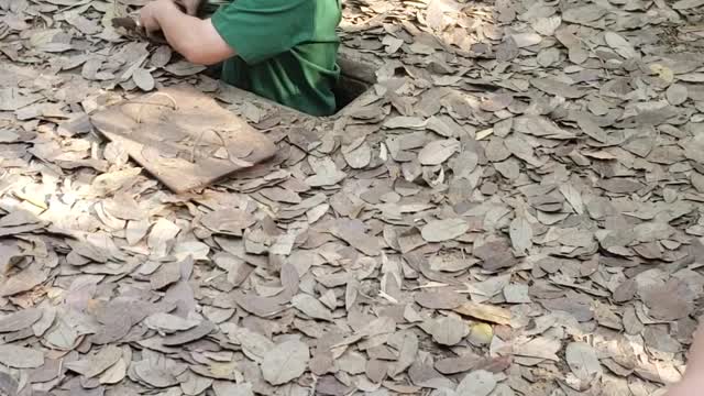 Tunnel Provides Unbelievable Camouflage