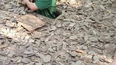 Tunnel Provides Unbelievable Camouflage
