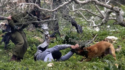 IDF is dismantling Hamas strongholds in Rafah - this is how