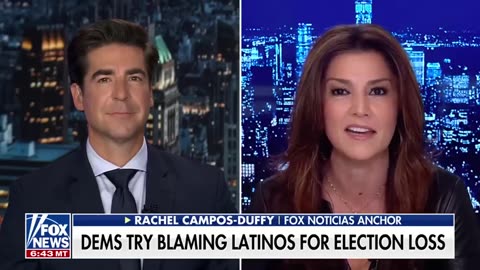 Democrats seem like they think all Hispanics are illegals Rachel Campos-Duffy