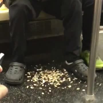 Hes been spitting sunflower seeds this entire time