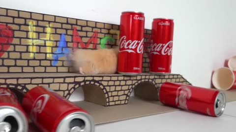 My Funny Pet Hamster takes on the COCA COLA Obstacle Course
