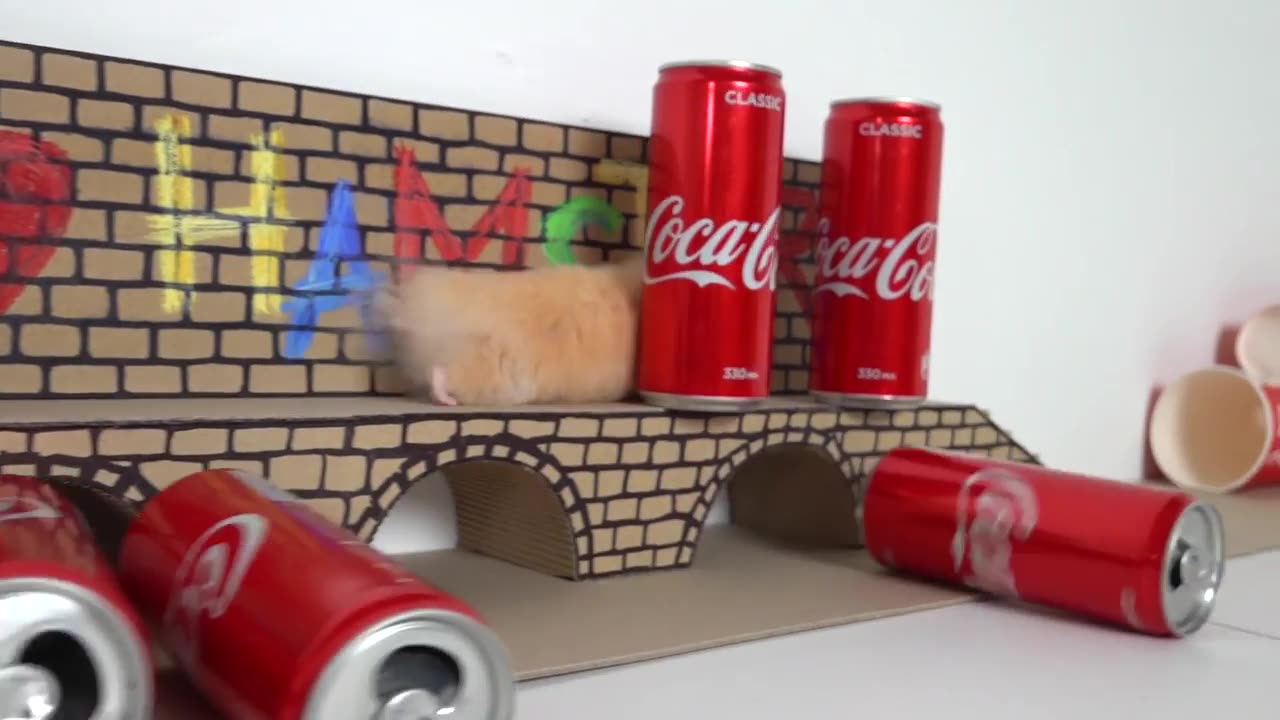My Funny Pet Hamster takes on the COCA COLA Obstacle Course