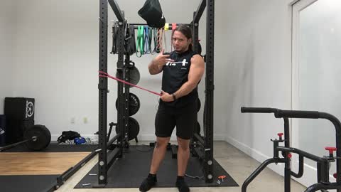 Reeves Tricep Extension