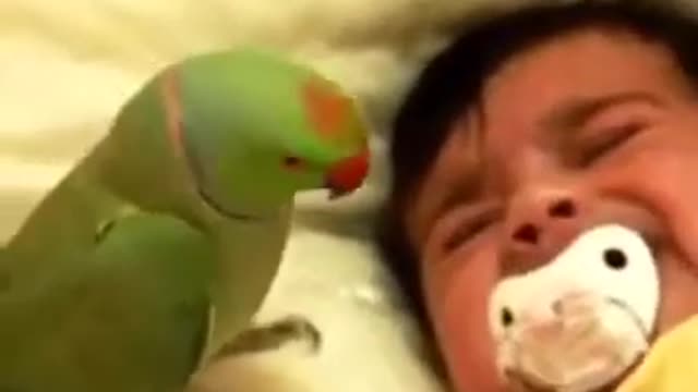 A baby and a parrot
