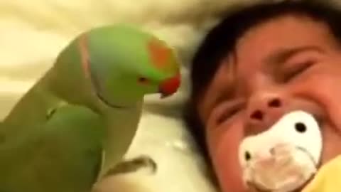 A baby and a parrot