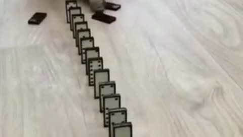 CHAT DOMINO