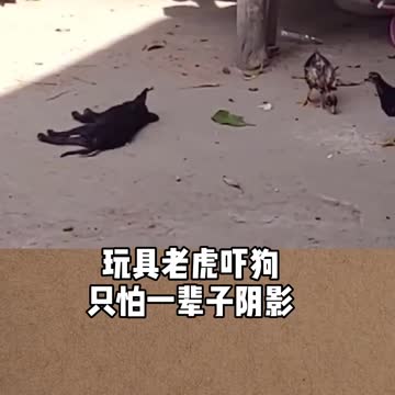 This man is too bad, terrified the dog