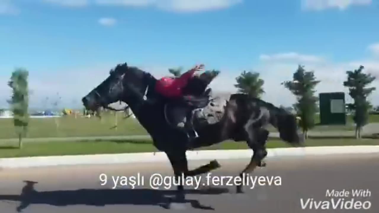 Riding horse 🐎