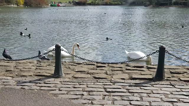 Chilled out in the park this morning for 3 hours