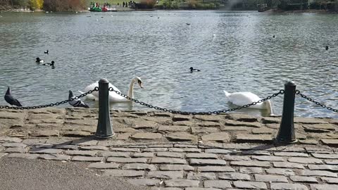 Chilled out in the park this morning for 3 hours