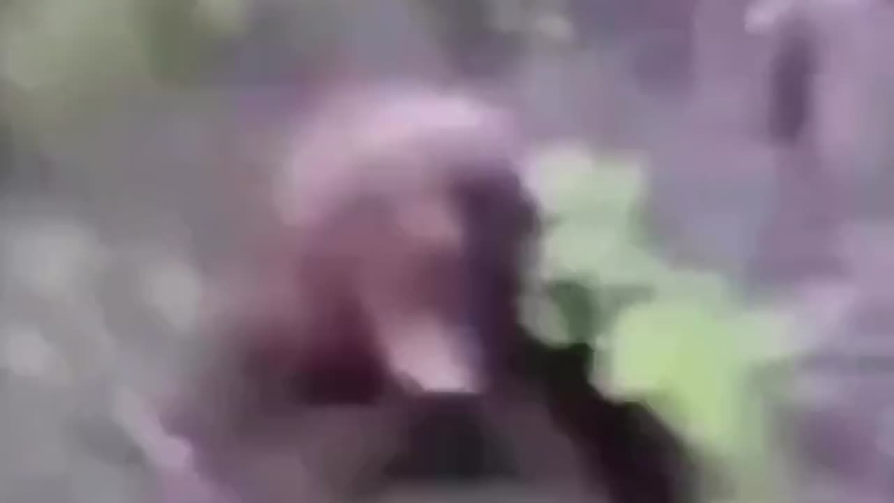 Guy Sneaks Up On Bear