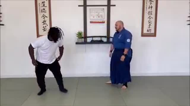 Aiki Jitsu