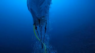 En un respiro, apneísta colombiano batió récord mundial en Egipto