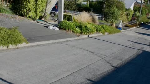 Did You Know? Baldwin Street || FACTS || TRIVIA