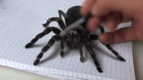 Best of 3D drawings