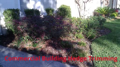 Premier Landscape Management - Commercial Building Hedge Trimming in Sanford, FL