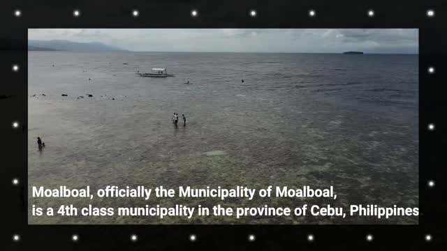 Moalboal - Cebu I Philippines